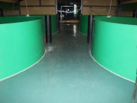 Self-leveling floor in the premises of the fish farm